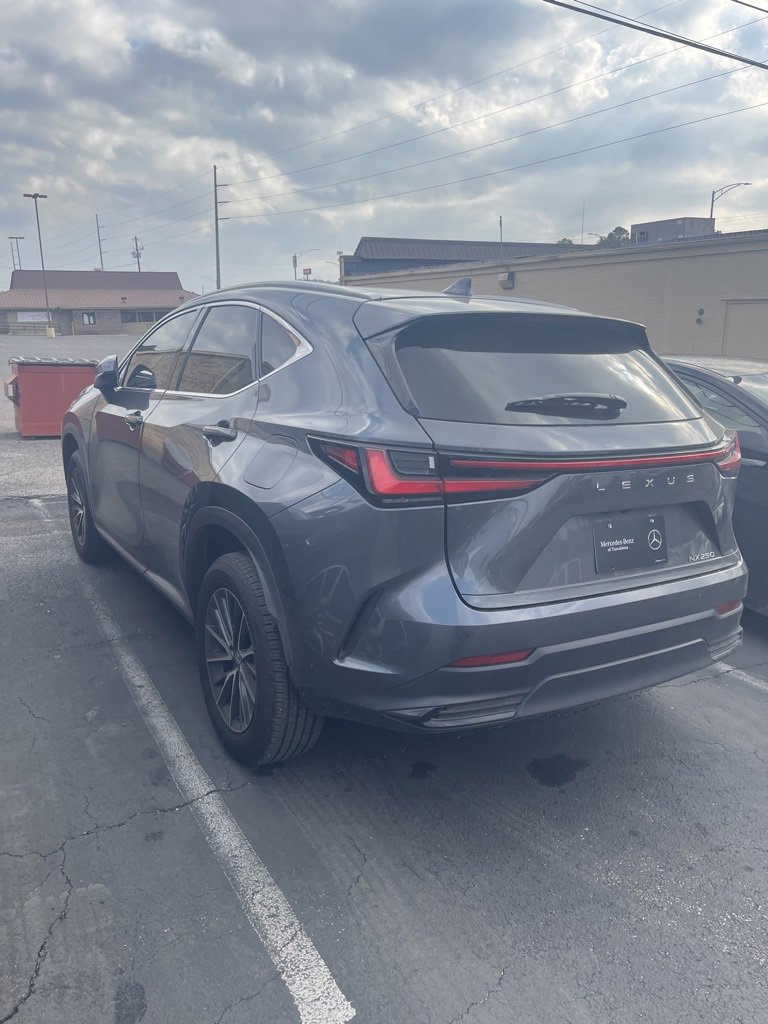 Used 2024 Lexus NX 250 FWD w/ Premium Package image 3