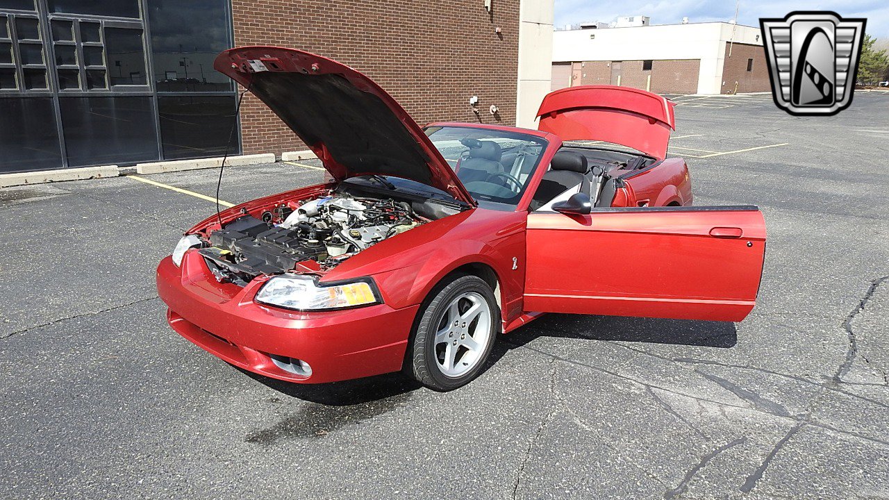 Used 2001 Ford Mustang Cobra image 14