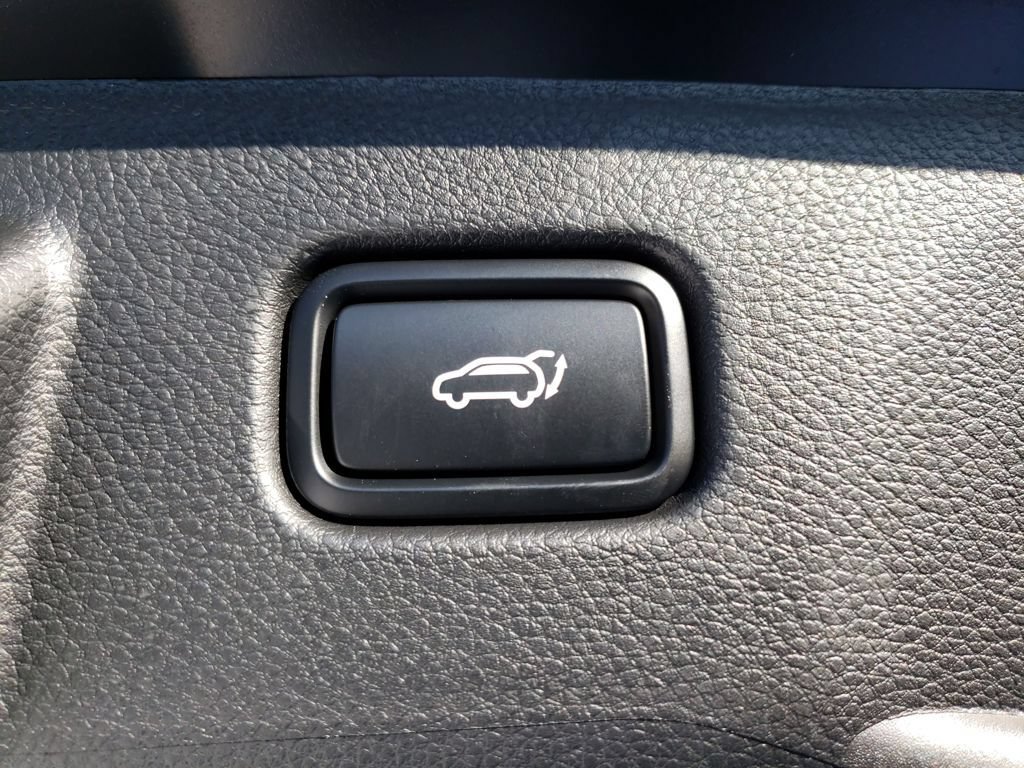 New 2026 Kia Seltos SX w/ SX Sunroof Package AWD/4WD image 8