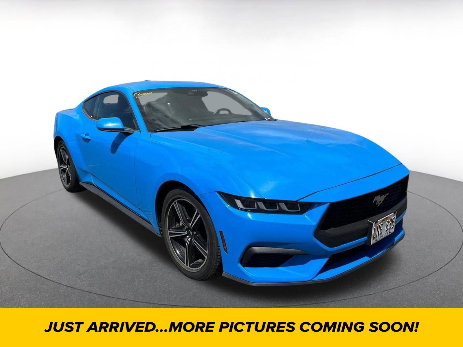 Used 2024 Ford Mustang Premium