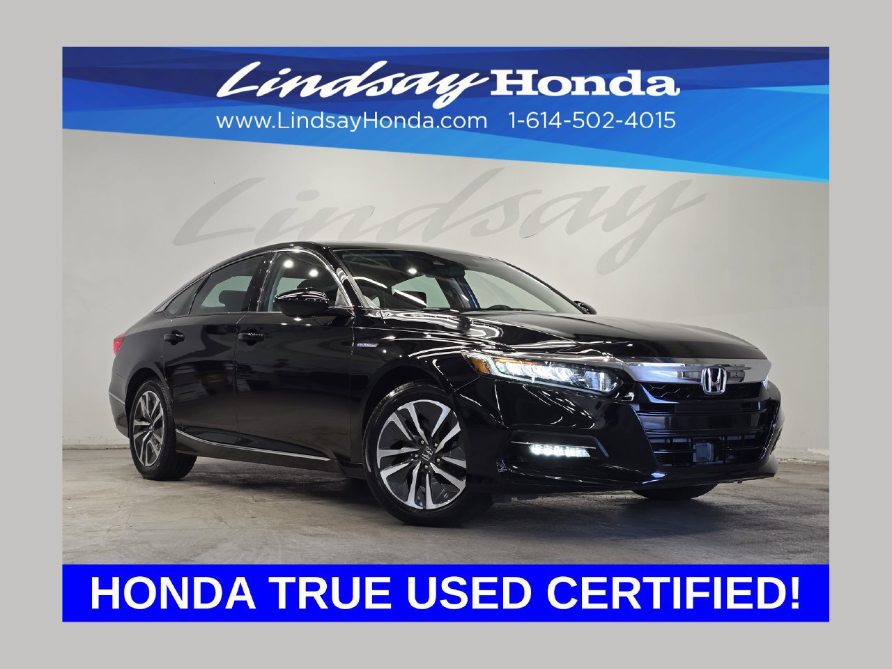 Used 2019 Honda Accord EX image 1