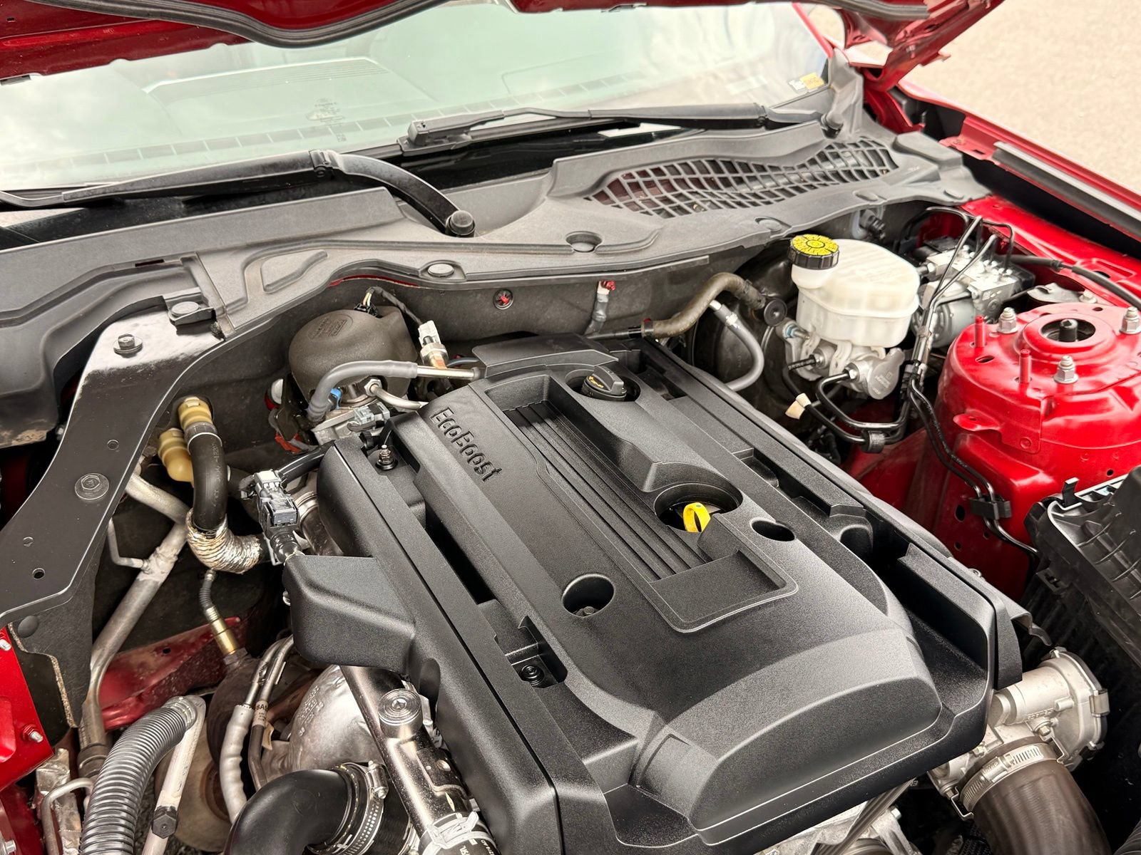 Used 2020 Ford Mustang Premium w/ Pony Package RWD image 39