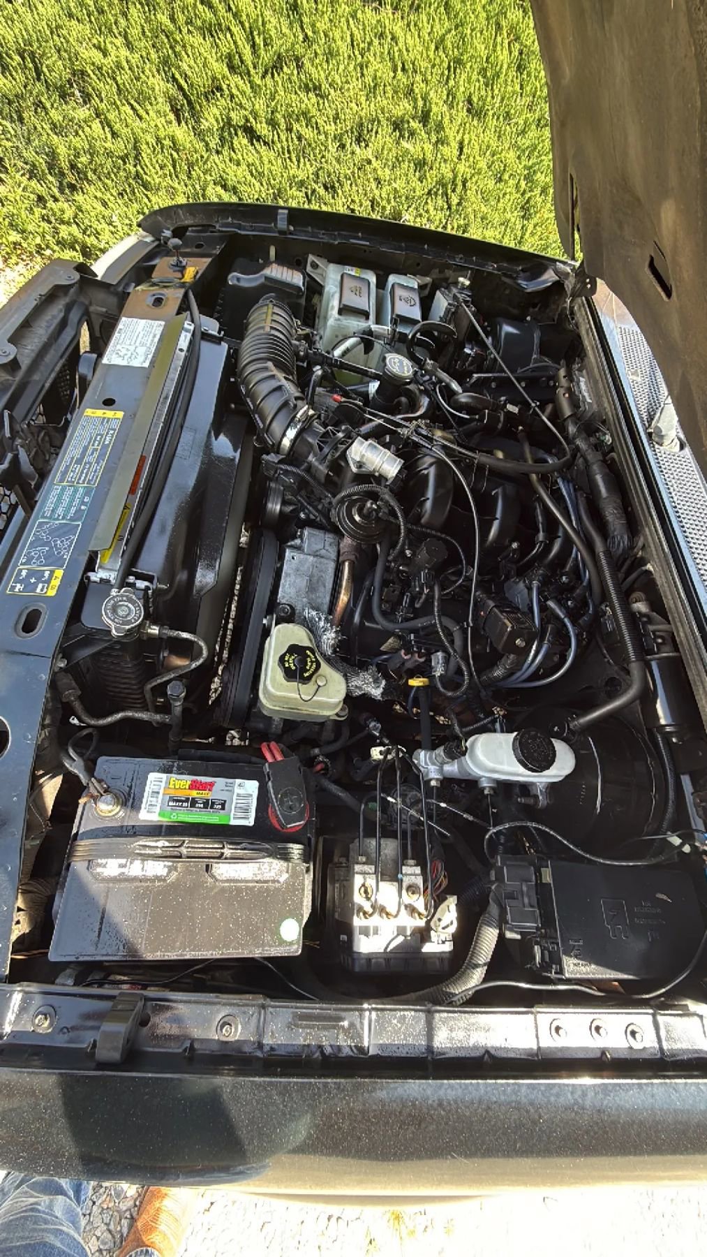 Used 2005 Ford Ranger XLT AWD/4WD image 27