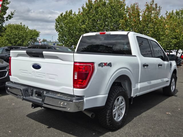 Used 2023 Ford F150 XLT w/ Equipment Group 301A Mid AWD/4WD image 4