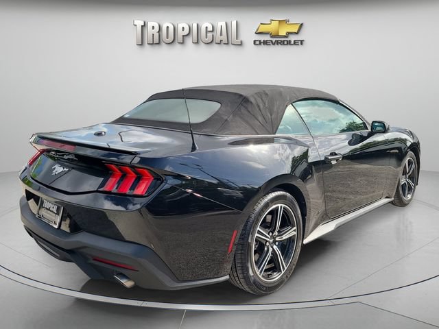 Used 2024 Ford Mustang Premium RWD image 5