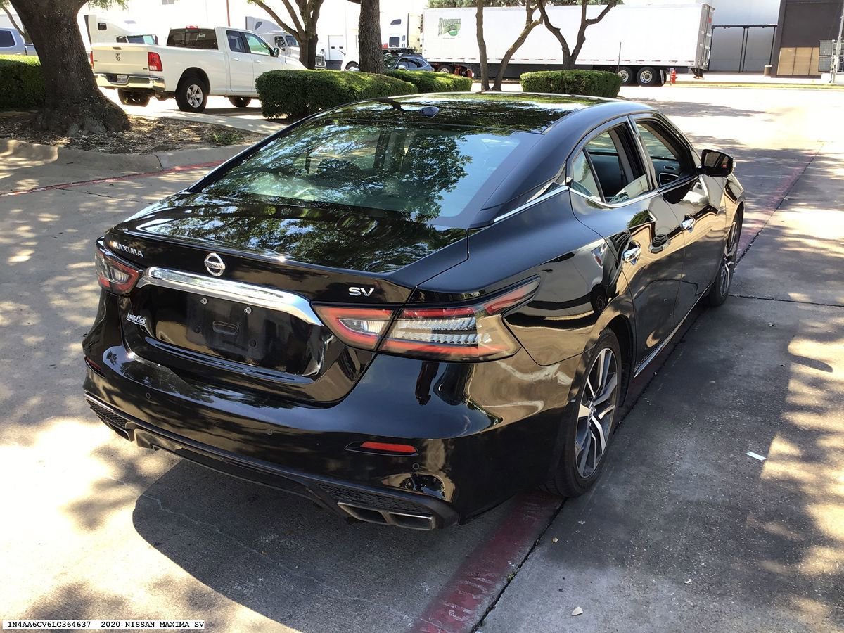 Used 2020 Nissan Maxima 3.5 SV w/ Floor Mat Group FWD image 5