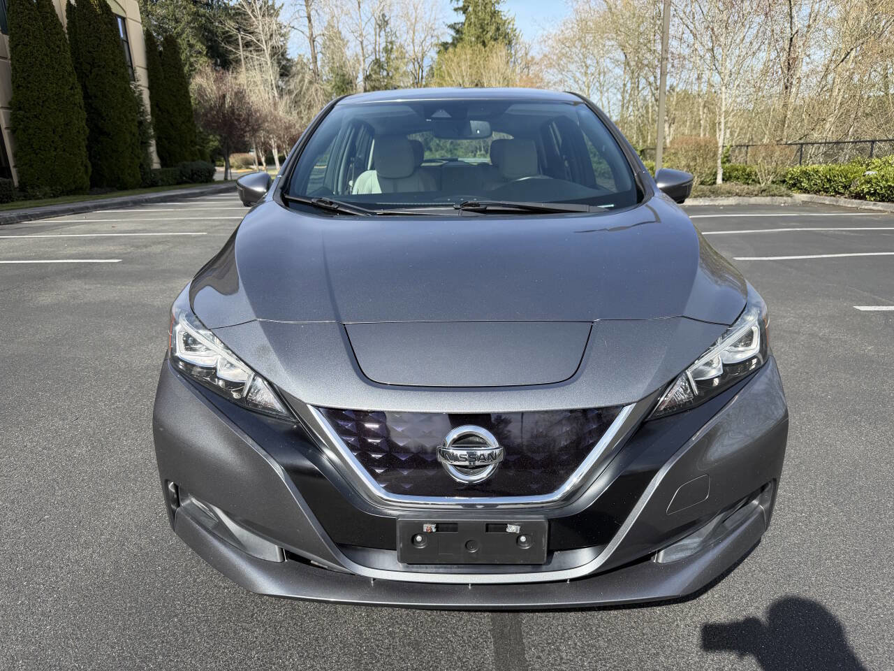 Used 2018 Nissan Leaf SL w/ SL Technology Package image 2