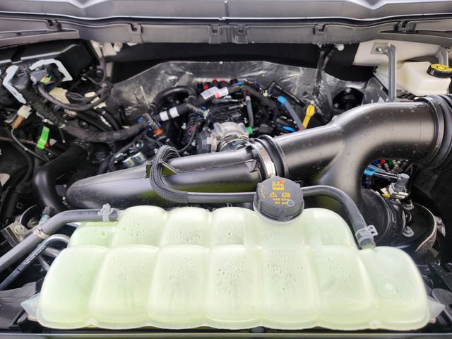 New 2026 Ford F150 XLT w/ XLT Black Appearance Package image 20