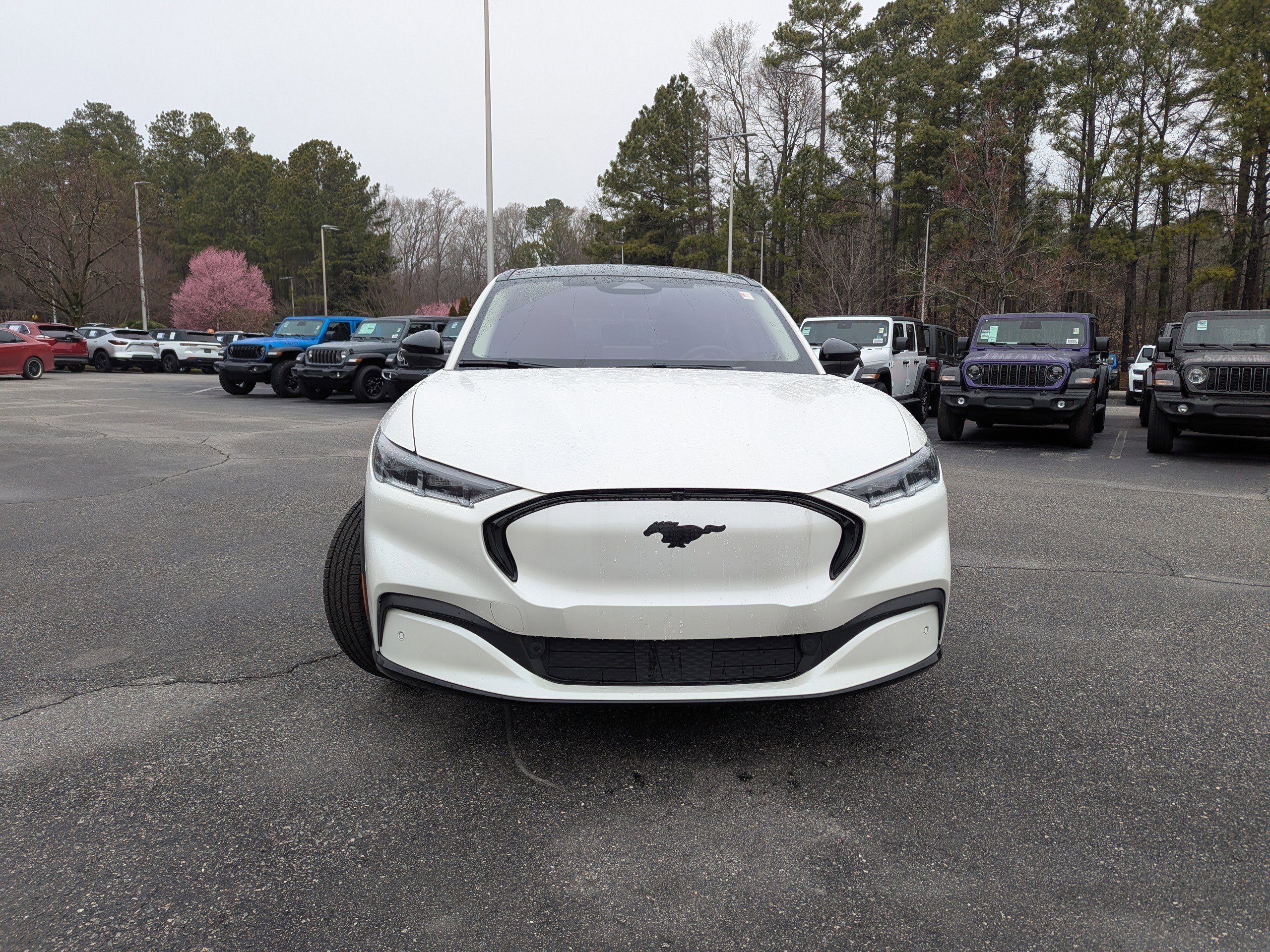 Used 2023 Ford Mustang Mach-E Premium w/ Mustang Nite Pony Package video 2