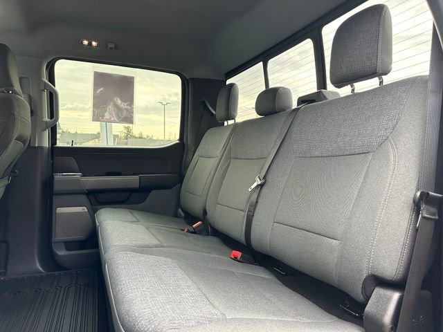 Used 2024 Ford F150 XLT w/ Equipment Group 303A High image 19