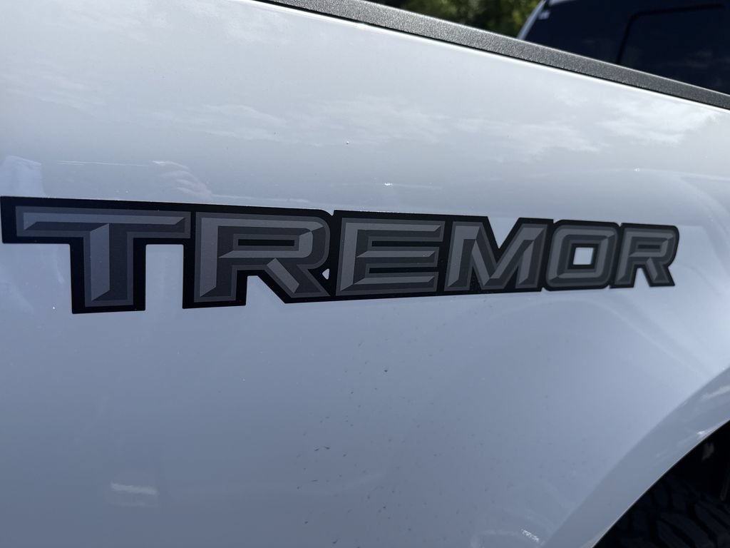 New 2026 Ford F250 King Ranch w/ Tremor Off-Road Package AWD/4WD image 20
