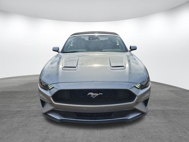 Certified 2023 Ford Mustang Premium image 3