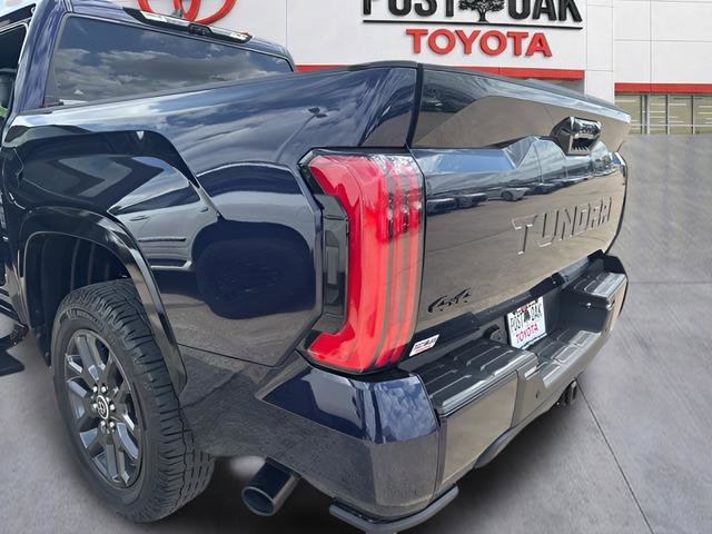 Used 2023 Toyota Tundra Platinum AWD/4WD image 4
