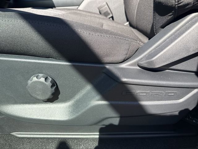 New 2026 Ford F150 STX w/ Equipment Group 200A image 12