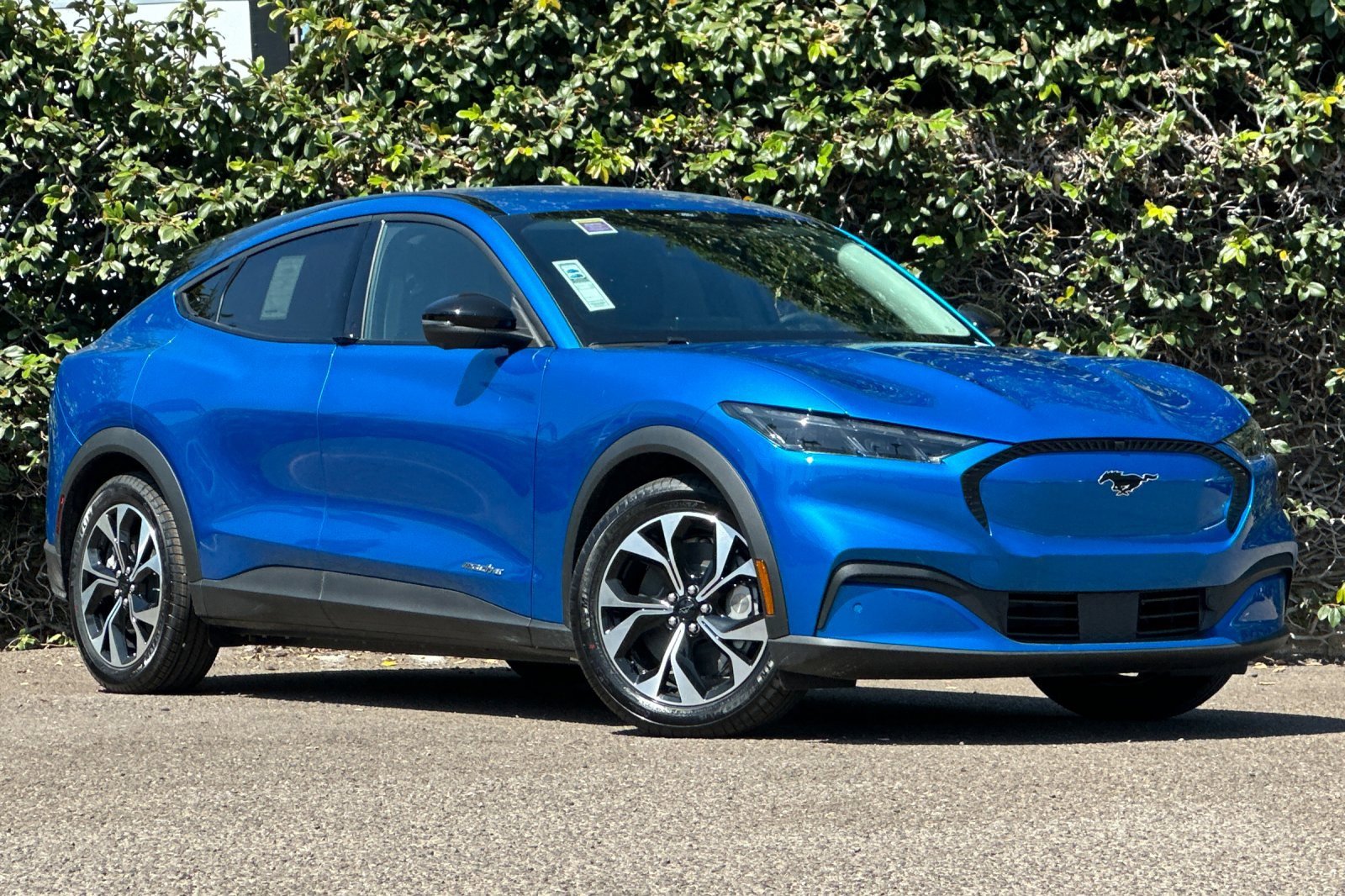 New 2025 Ford Mustang Mach-E Select