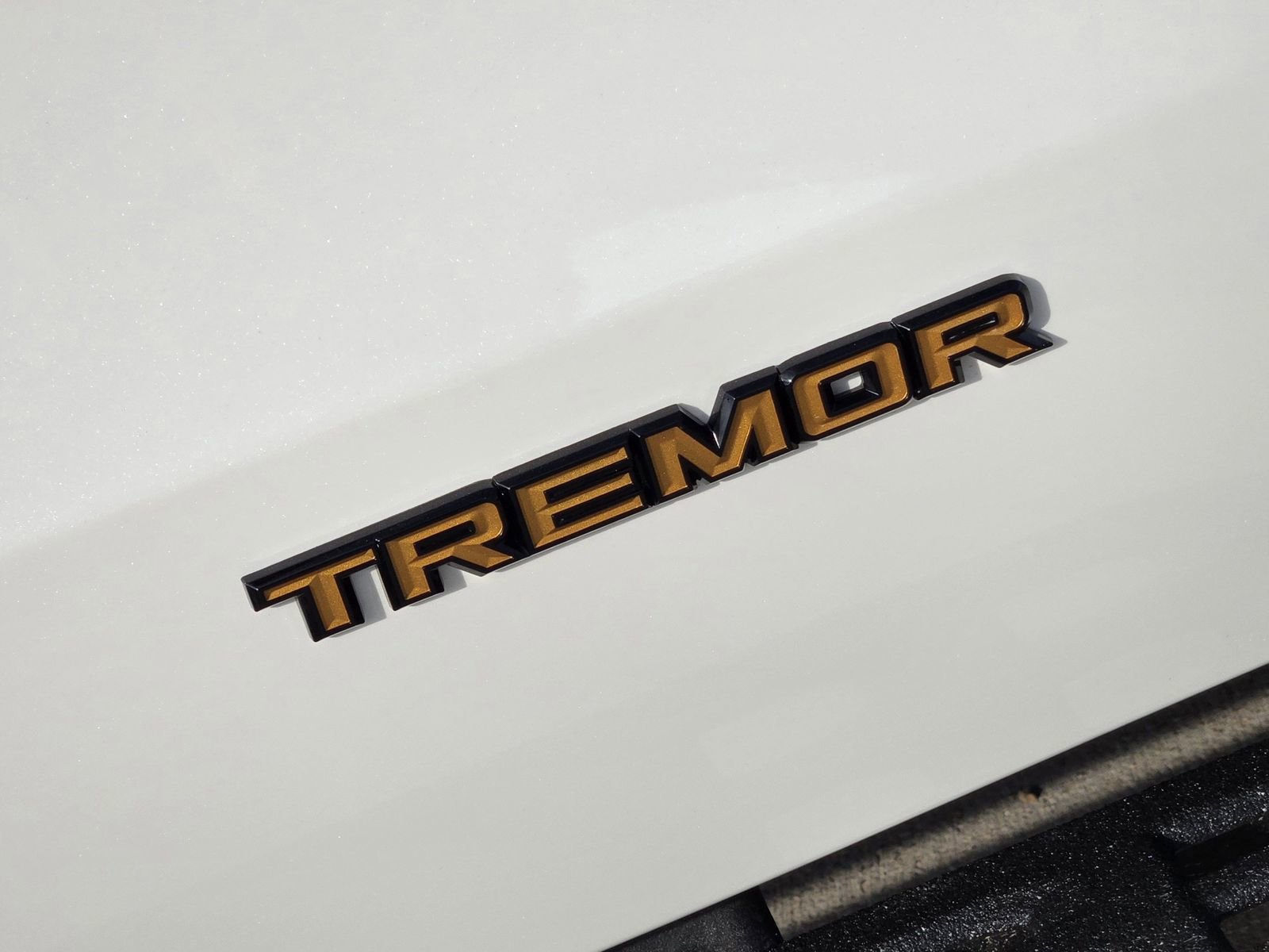New 2025 Ford Expedition Tremor image 11