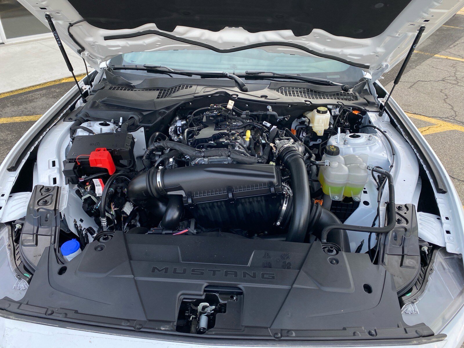 Used 2025 Ford Mustang Coupe image 28
