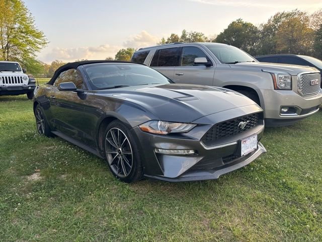 Used 2019 Ford Mustang Premium w/ Equipment Group 201A RWD image 3