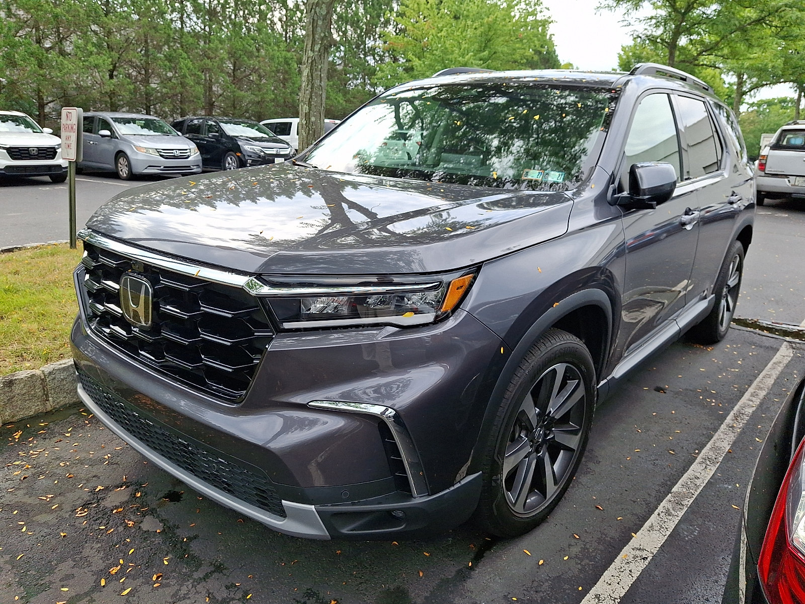 Certified 2025 Honda Pilot Elite image 3