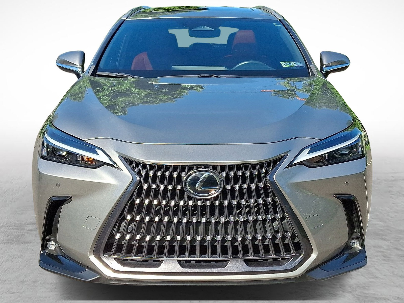 Certified 2024 Lexus NX 350 AWD image 2