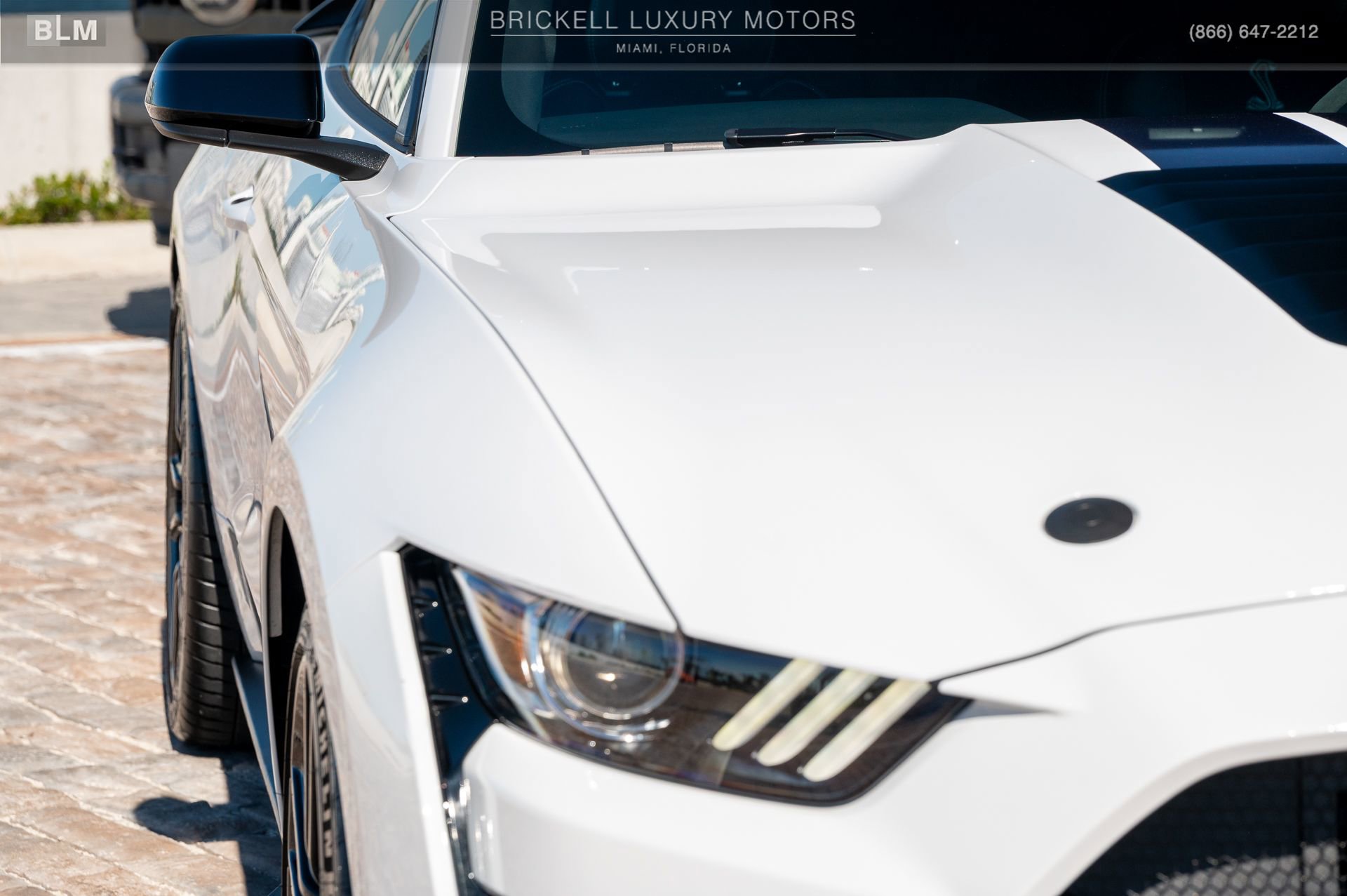 Used 2022 Ford Mustang Shelby GT500 w/ Handling Package image 47