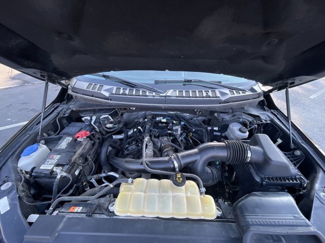 Used 2019 Ford F150 XLT w/ Equipment Group 302A Luxury AWD/4WD image 29