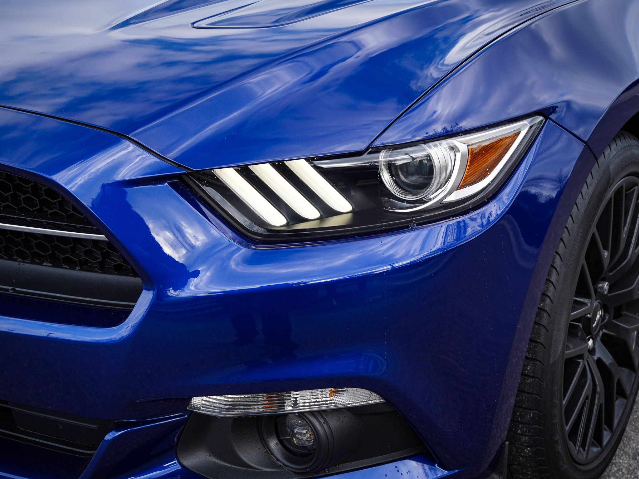 Used 2015 Ford Mustang GT Premium w/ GT Performance Package image 8