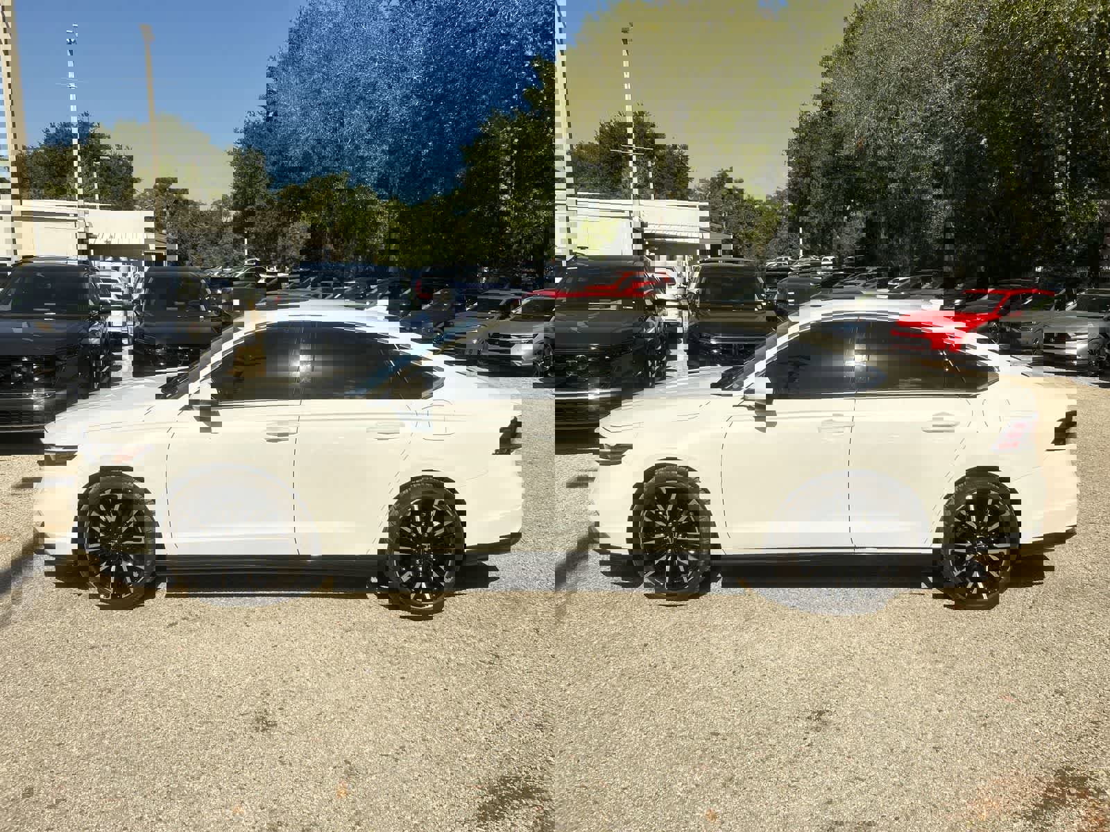 Used 2024 Honda Accord Touring image 4