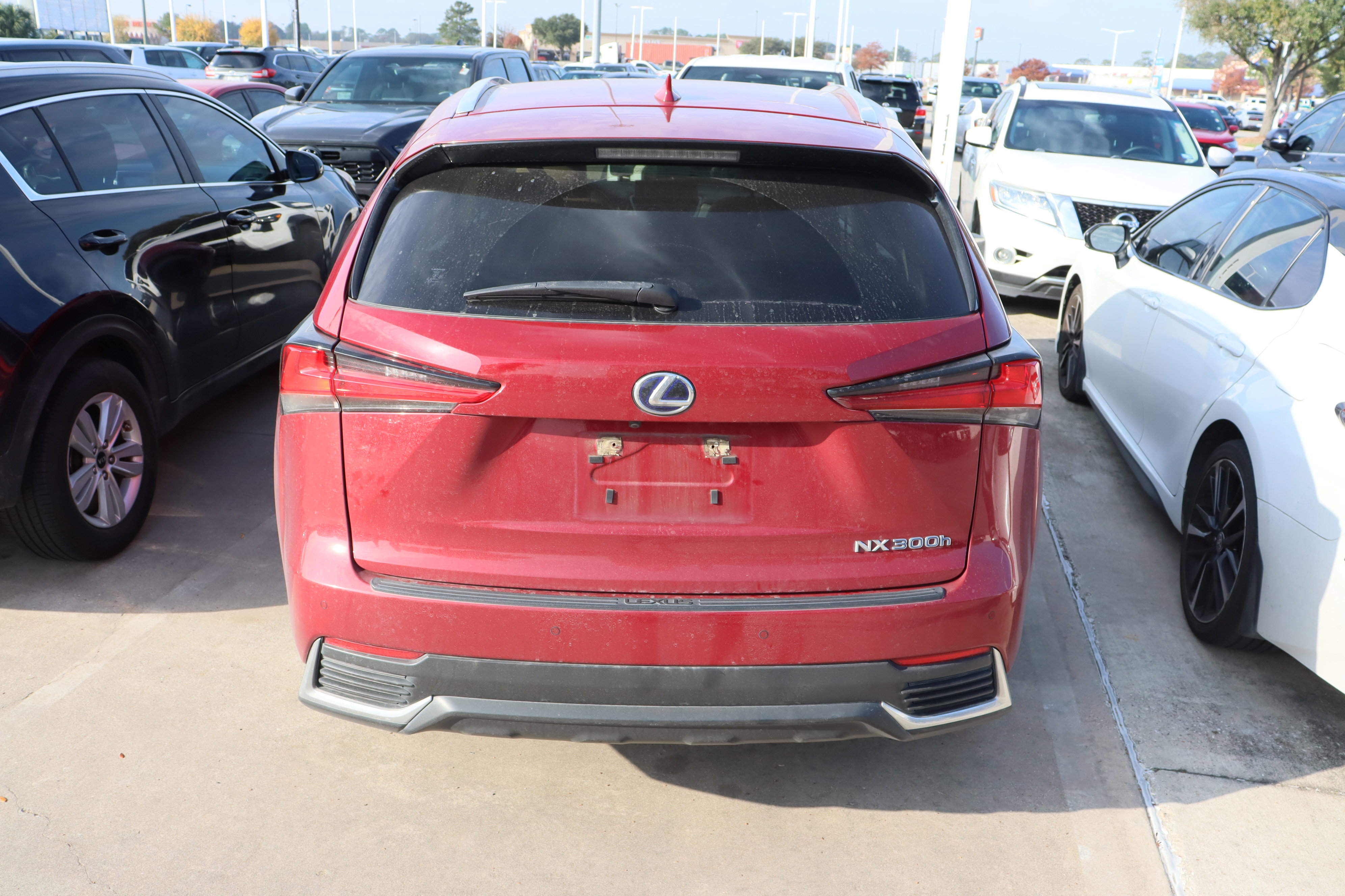 Used 2020 Lexus NX 300h AWD w/ Premium Package image 7