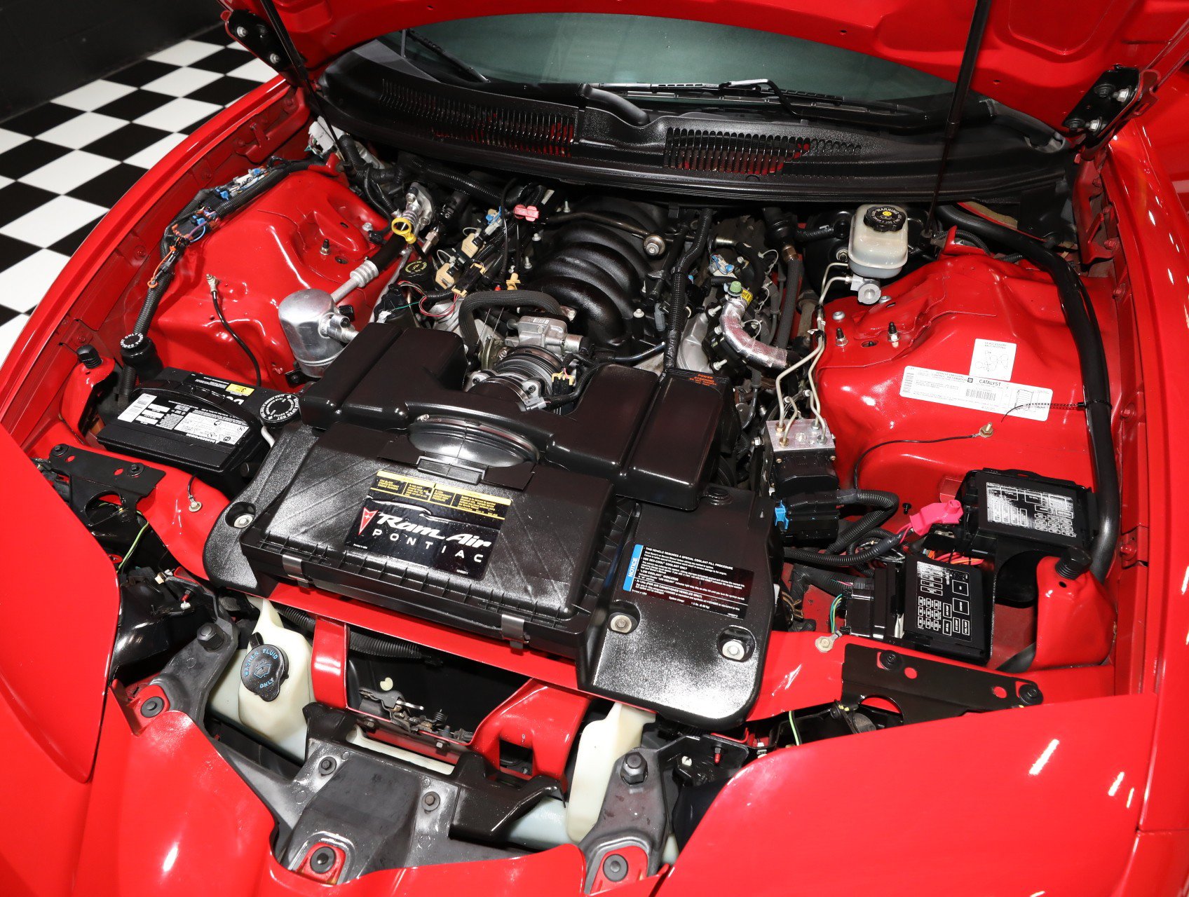 Used 1999 Pontiac Firebird Trans Am RWD image 2