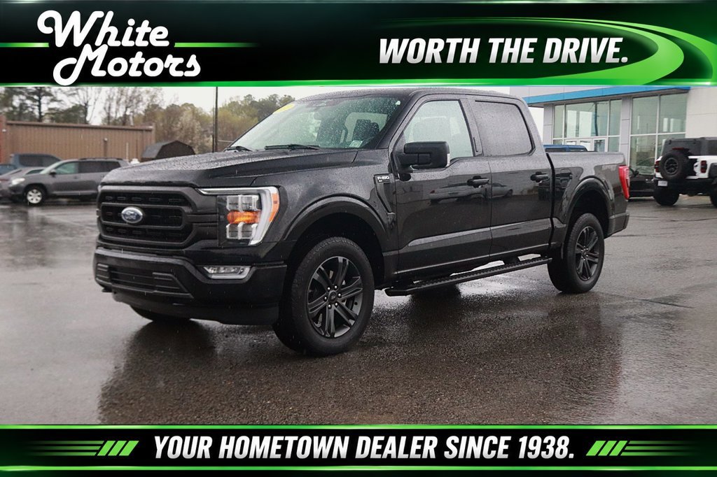 Used 2023 Ford F150 XLT w/ Equipment Group 302A High