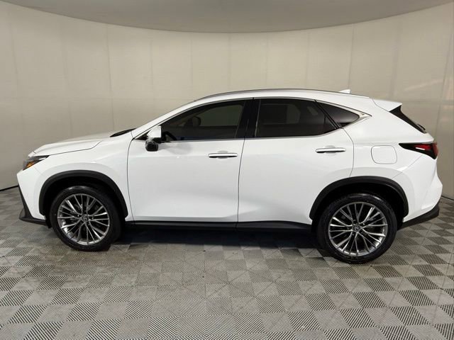 New 2026 Lexus NX 350 AWD w/ Luxury Package image 3