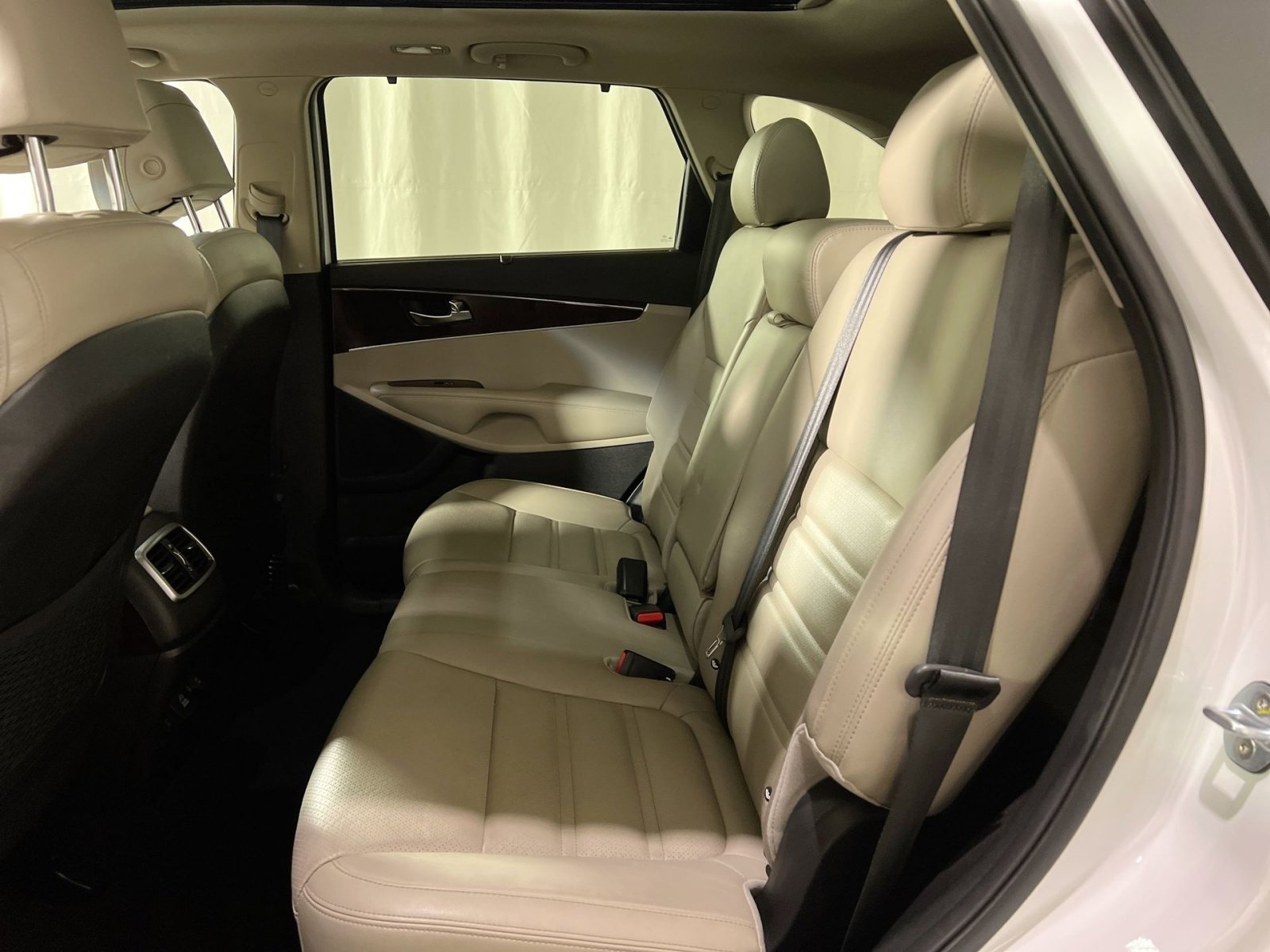 Used 2017 Kia Sorento EX w/ EX Advanced Touring Package image 25