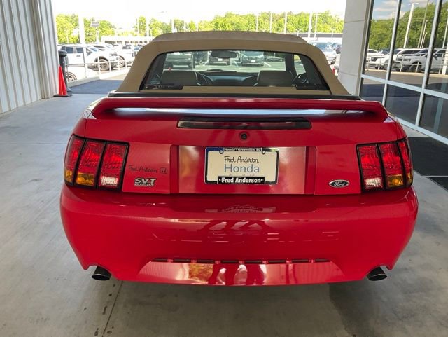 Used 1999 Ford Mustang Cobra RWD image 14