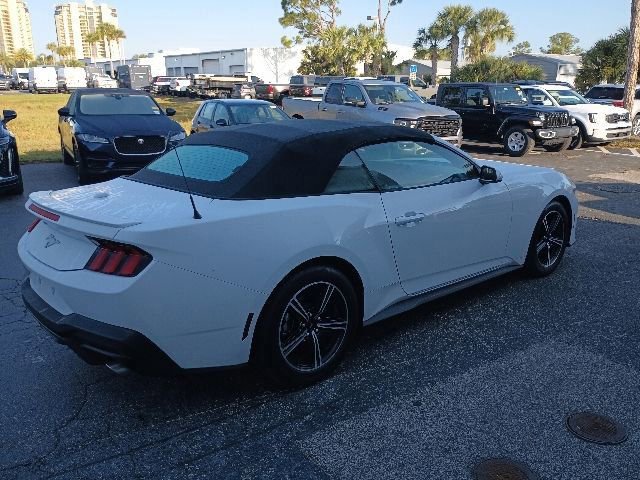 Used 2025 Ford Mustang Premium RWD image 5