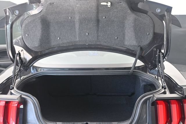 Used 2023 Ford Mustang GT Premium w/ Equipment Group 401A RWD image 18