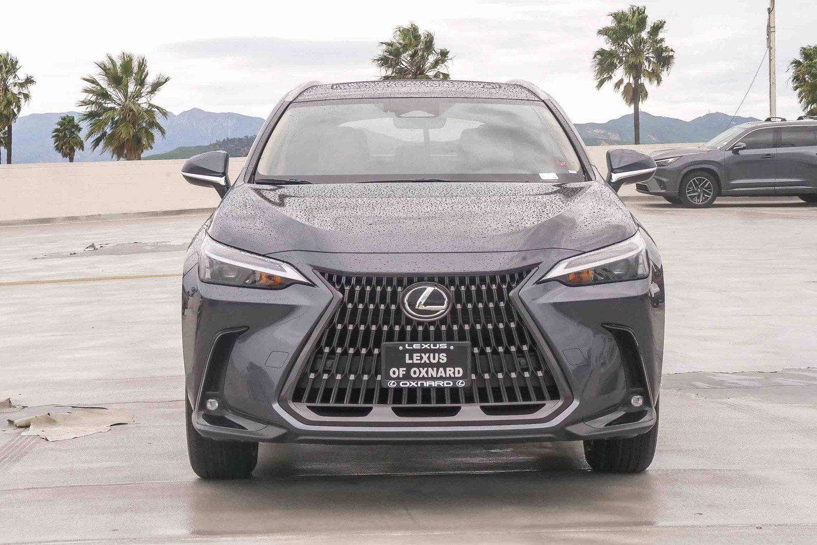 New 2026 Lexus NX 350h AWD w/ Premium Package image 2