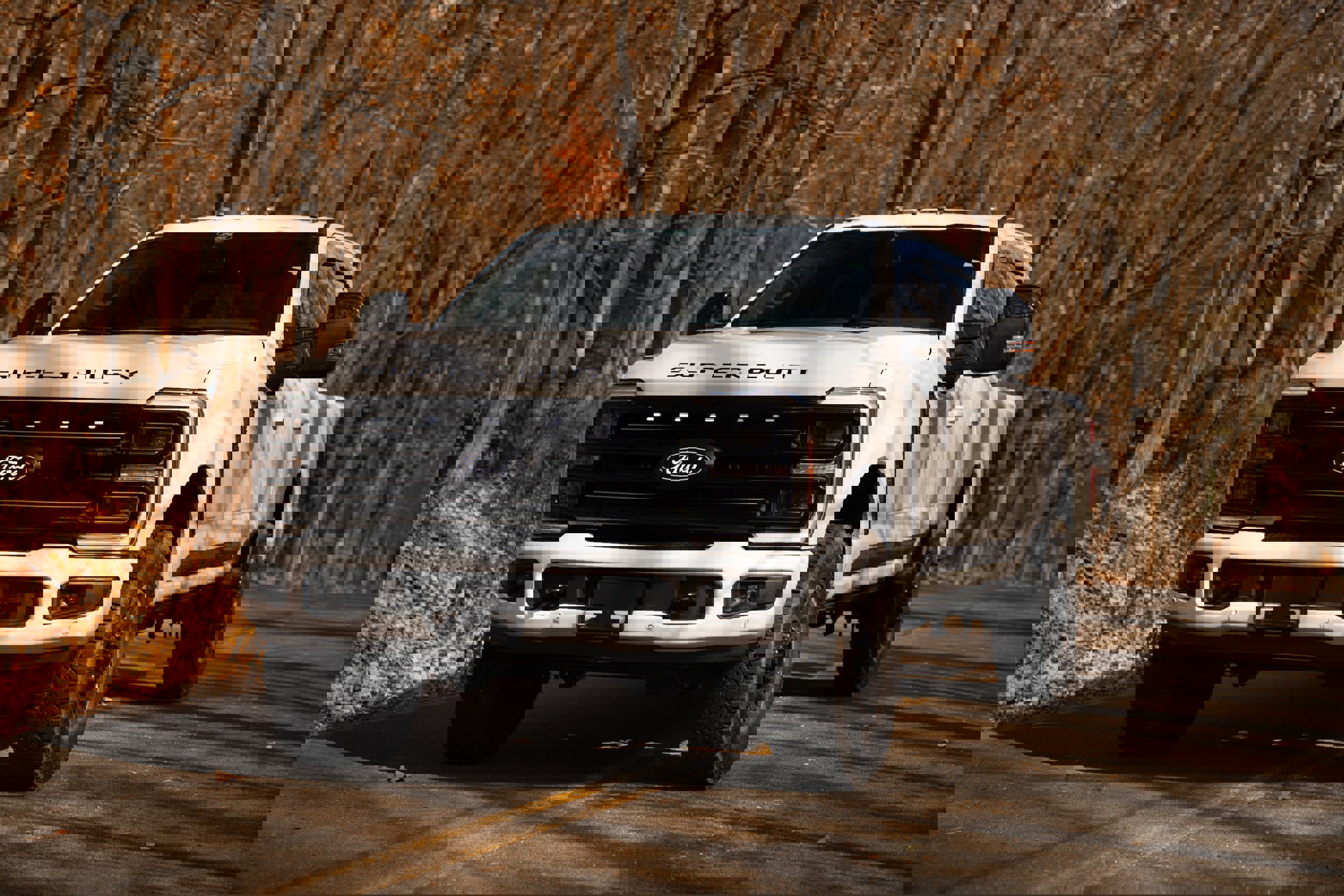 Certified 2025 Ford F250 Platinum w/ Tremor Off-Road Package image 1