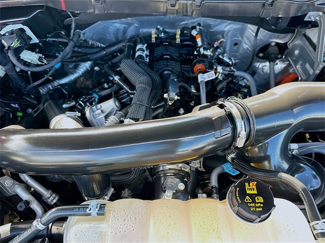 Used 2024 Ford F150 XLT w/ Equipment Group 302A MID image 30