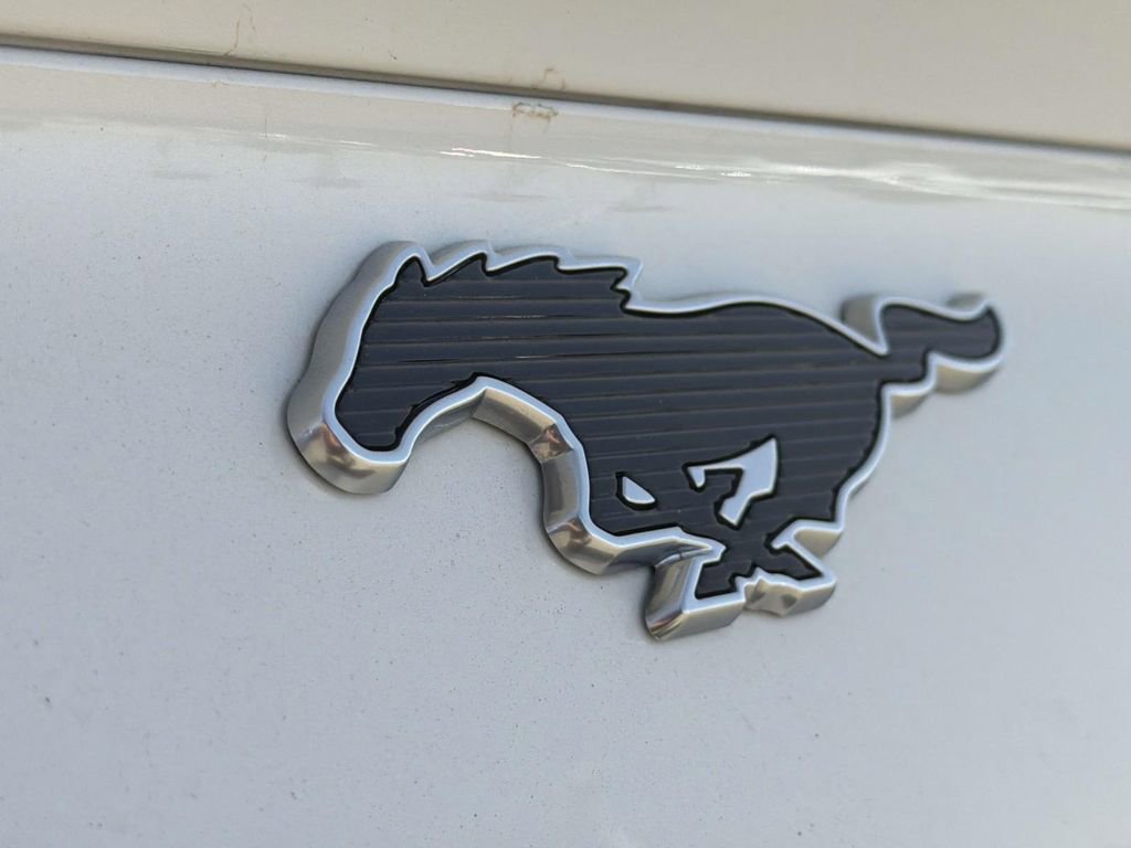 Used 2021 Ford Mustang Mach-E Premium image 9