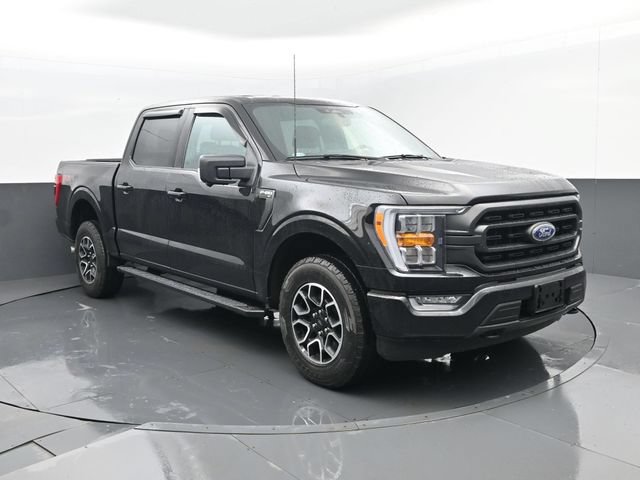 Used 2022 Ford F150 XLT w/ Equipment Group 302A High AWD/4WD image 3