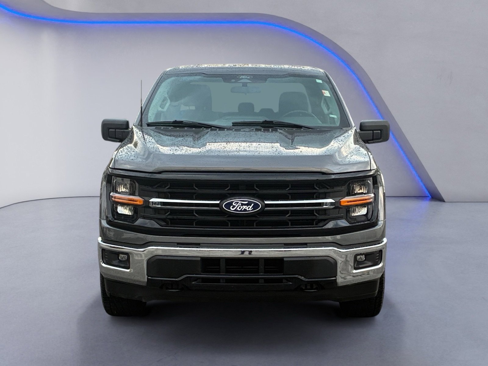 Used 2025 Ford F150 XLT w/ Equipment Group 301A Standard AWD/4WD image 8