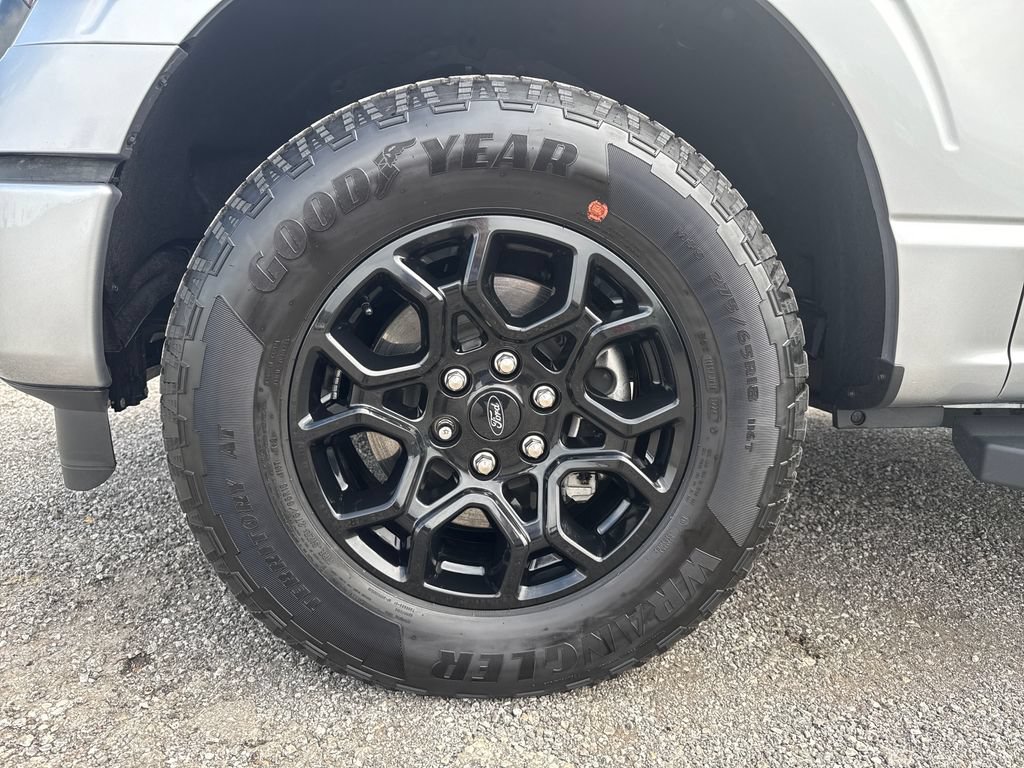 Used 2024 Ford F150 XLT w/ Equipment Group 302A MID AWD/4WD image 10