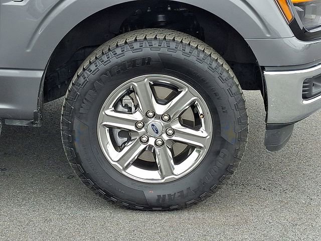 Used 2025 Ford F150 XLT w/ Equipment Group 301A Standard image 8