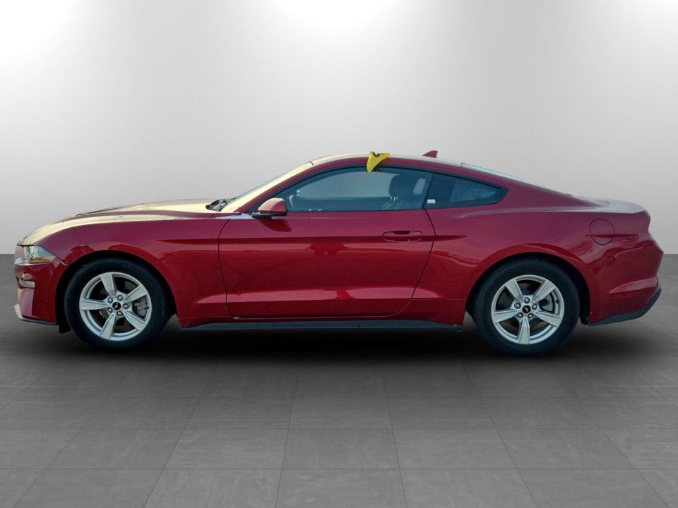 Used 2020 Ford Mustang EcoBoost image 10