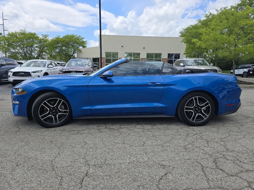 Used 2019 Ford Mustang Premium w/ Equipment Group 201A RWD image 15