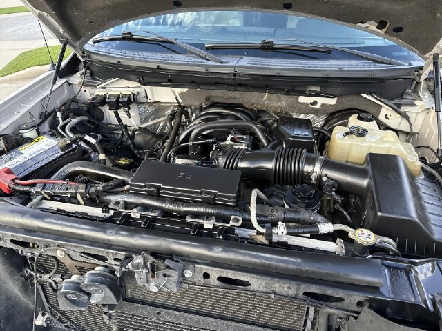 Used 2010 Ford F150 XLT RWD image 19