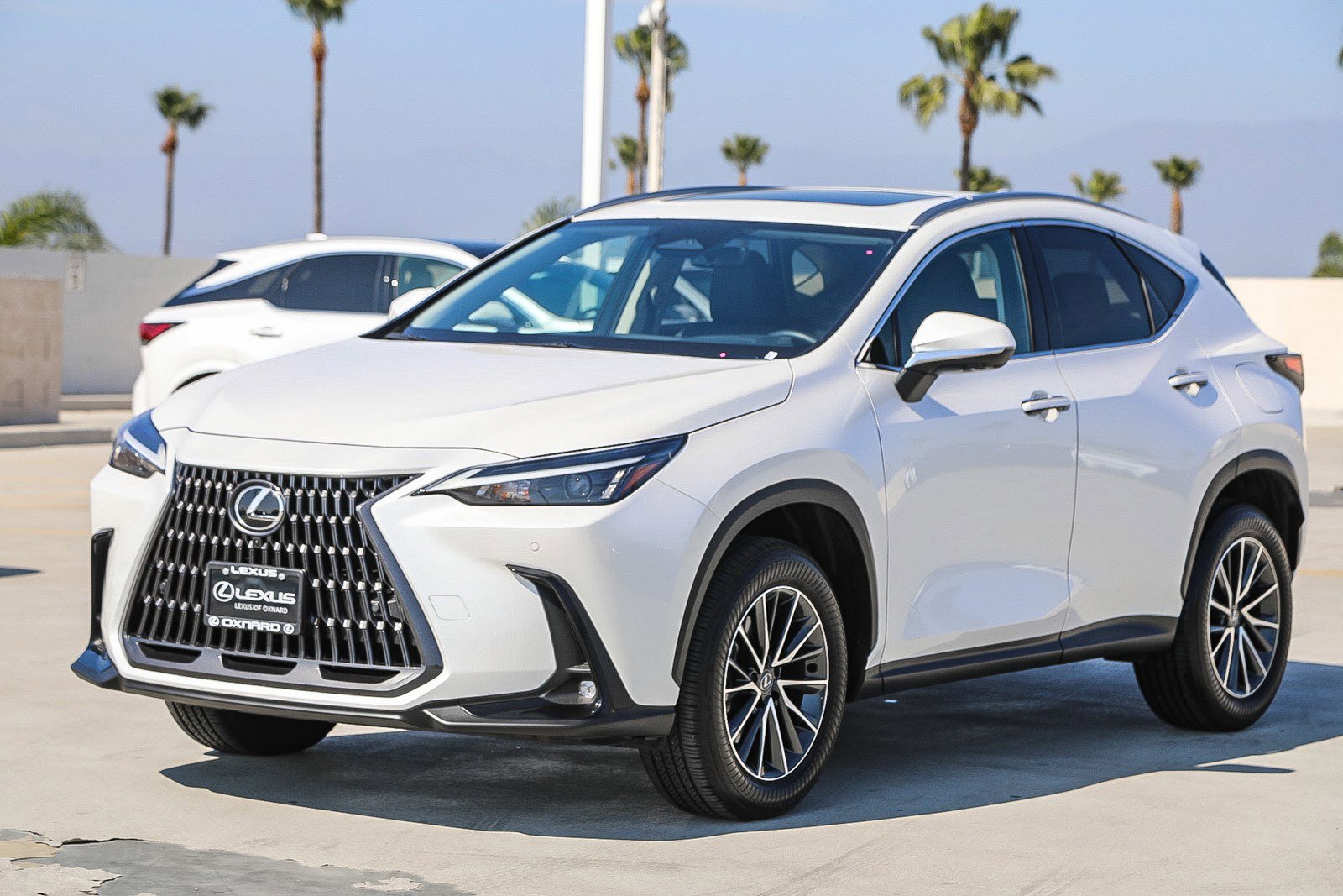 Used 2025 Lexus NX 350 AWD w/ Accessory Package (2T) image 3