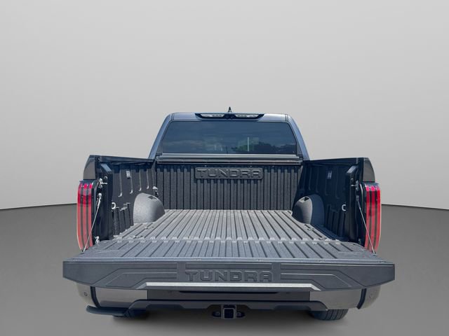Used 2023 Toyota Tundra Platinum AWD/4WD image 19