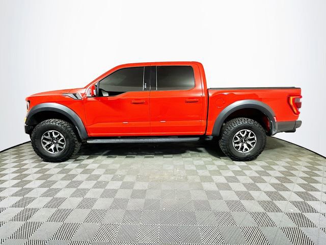 Used 2023 Ford F150 Raptor image 5